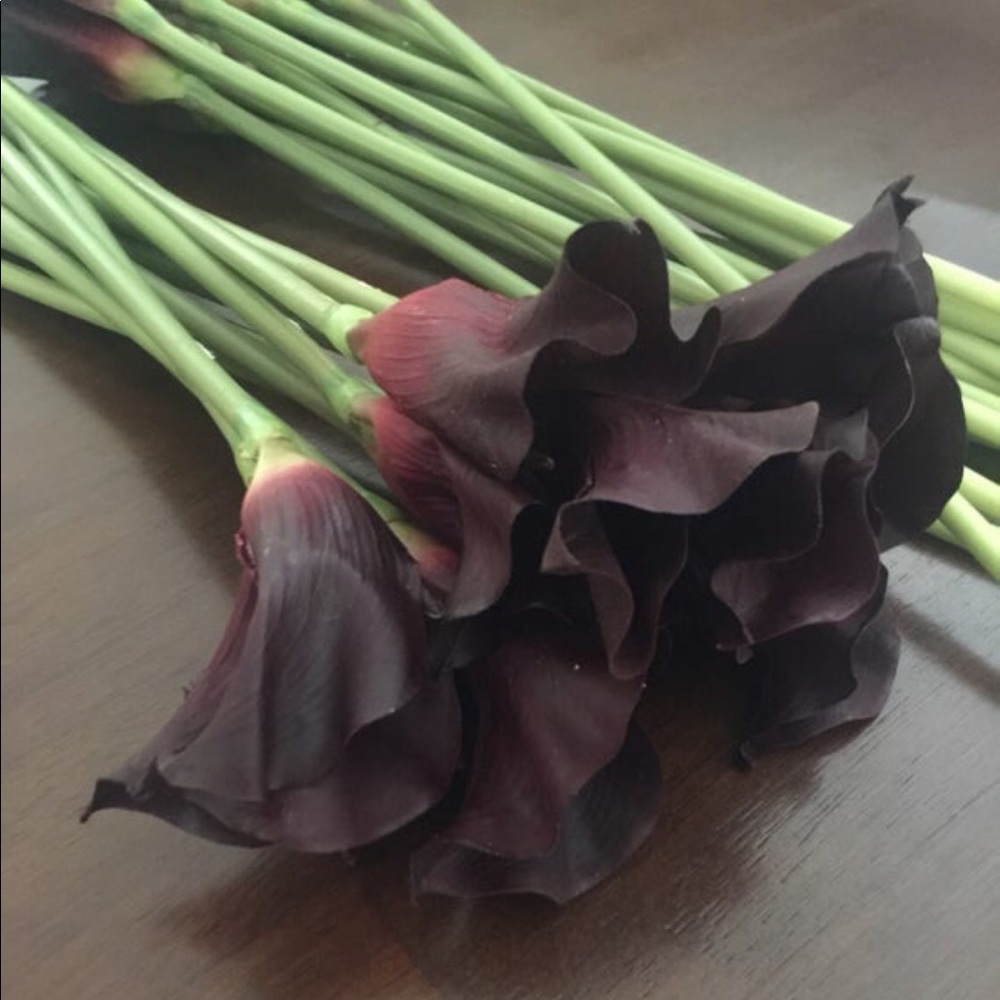True Life Botanicals Long Stems Calla Lillies